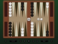 Backgammon Classic Pro ekran goruntusu 1