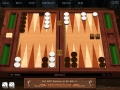 Backgammon ekran goruntusu 2