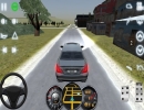 driving-school-2017-oyunu-indir