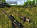 the-hunter-2012-indirme