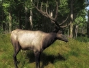 the-hunter-2012-oyunu-indirme