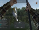 trophy-fishing-2-oyun-indirme